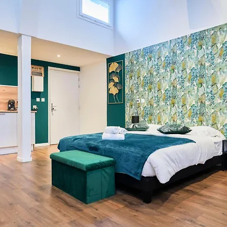 Ng Prestige - Lille L Roubaix L Mairie - Gare L Nain - Grand Studio - Balneo - Sauna - Netflix - Wifi Exterior photo